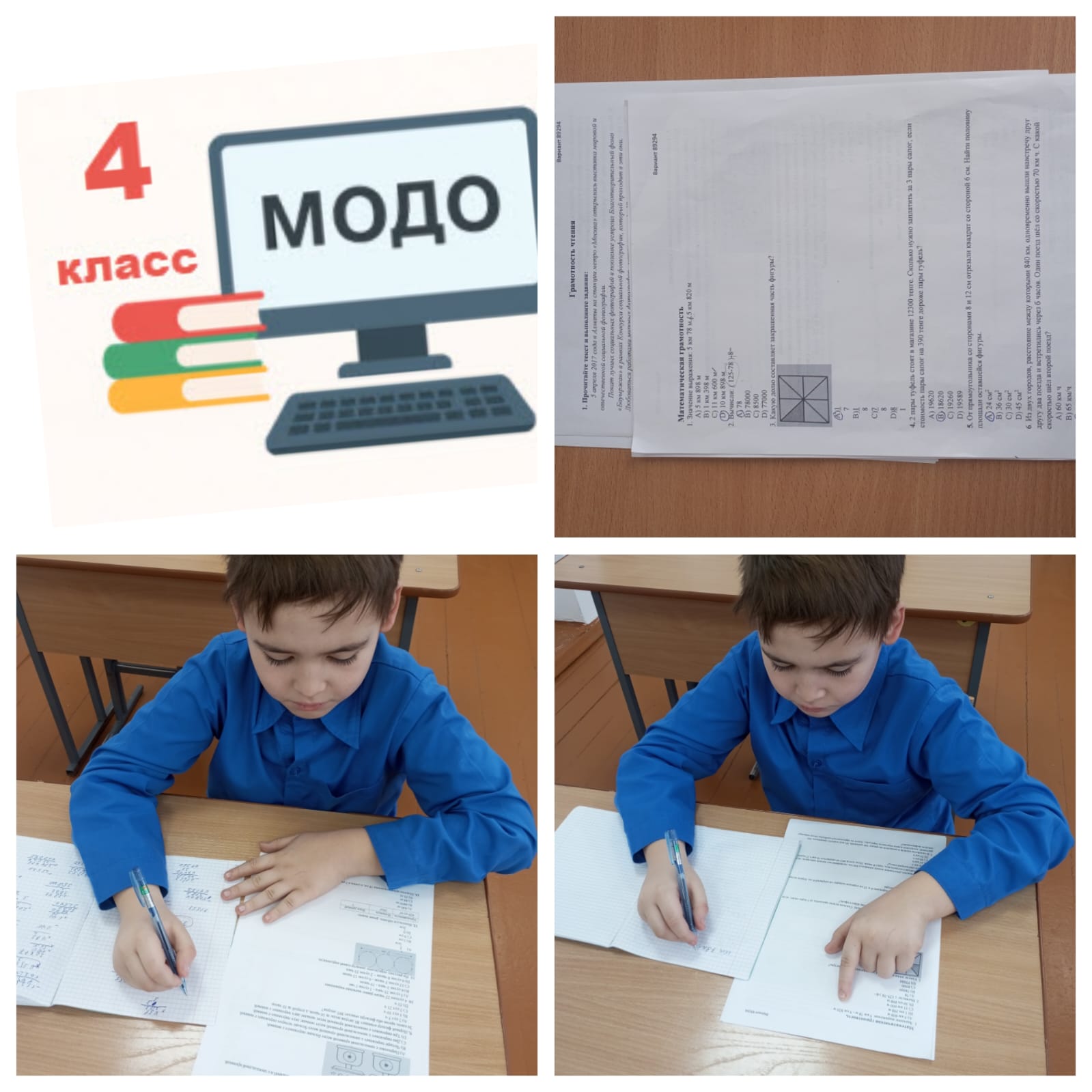 WhatsApp Image 2026 02 17 at 12.03.27