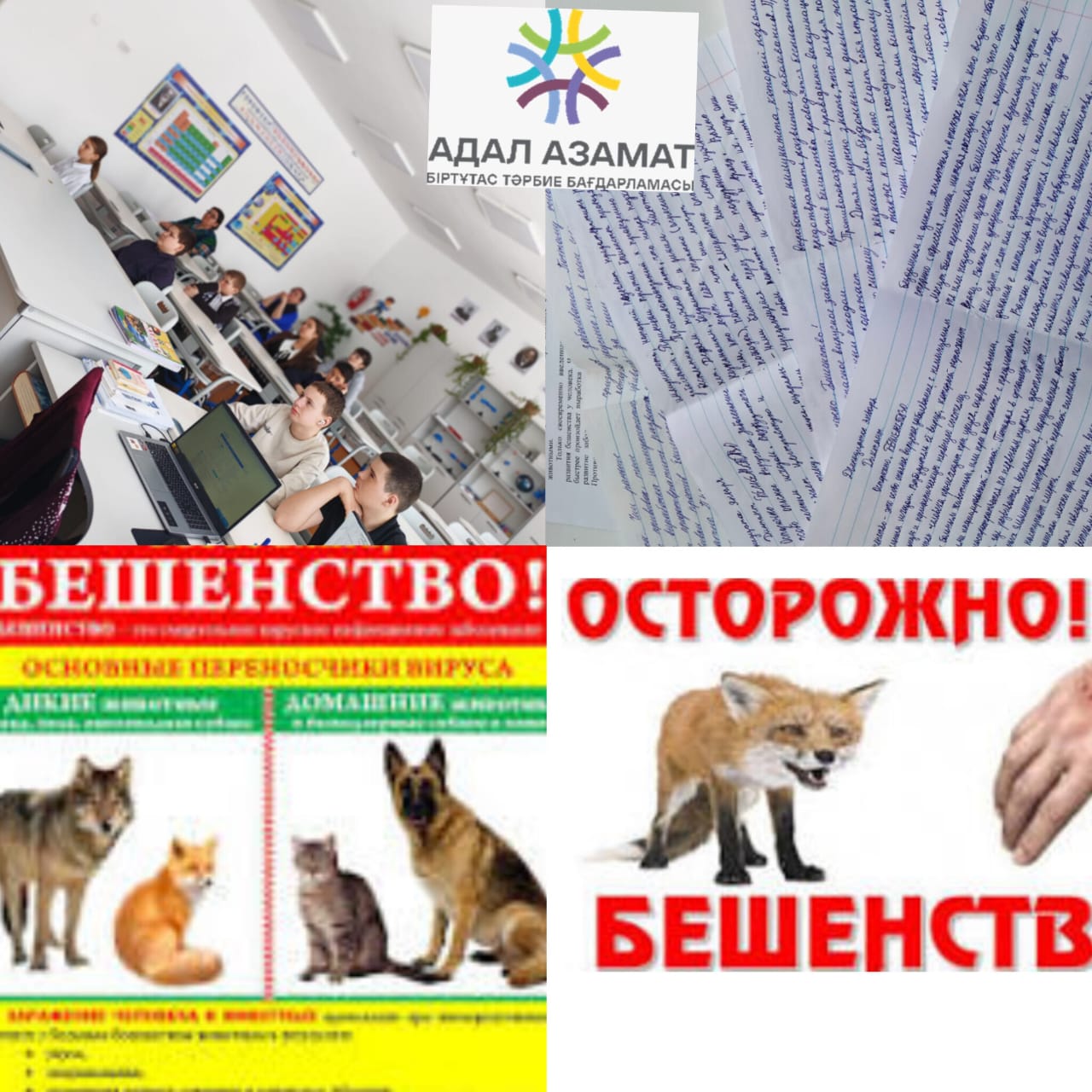 WhatsApp Image 2026 03 16 at 11.36.24